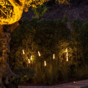 DC01 Dekoratif Sazlık