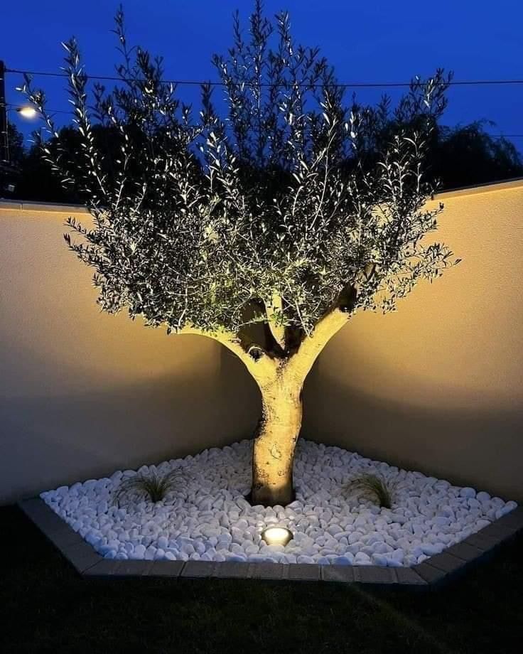 P2 Recessed Lighting Fixture