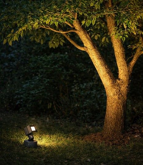 Floodlight Lighting Fixture image